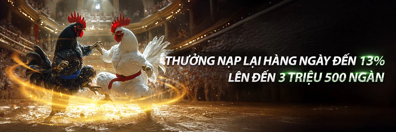 Hình ảnh chính của trang đối tác 5699